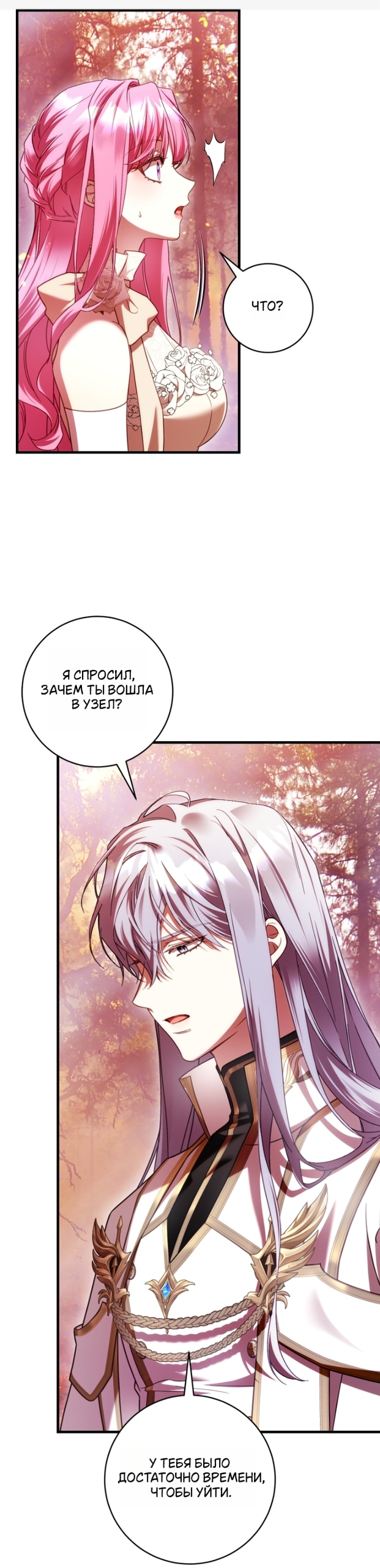 Цветок, одержимый мечом — Глава 48, страница 2