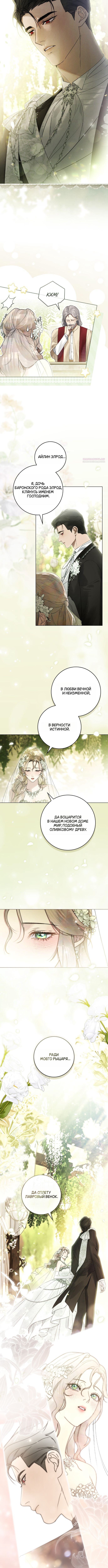 Брак со злодеем — Глава 28, страница 2