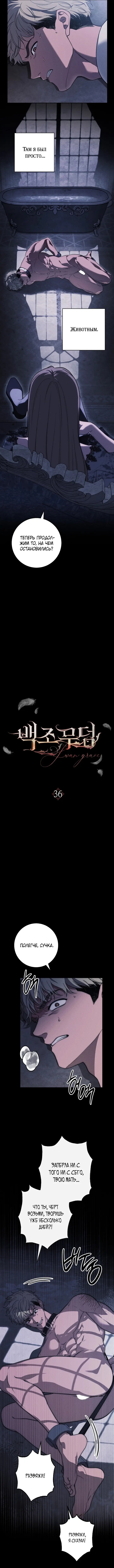 Лебединая гробница — Глава 36, страница 2