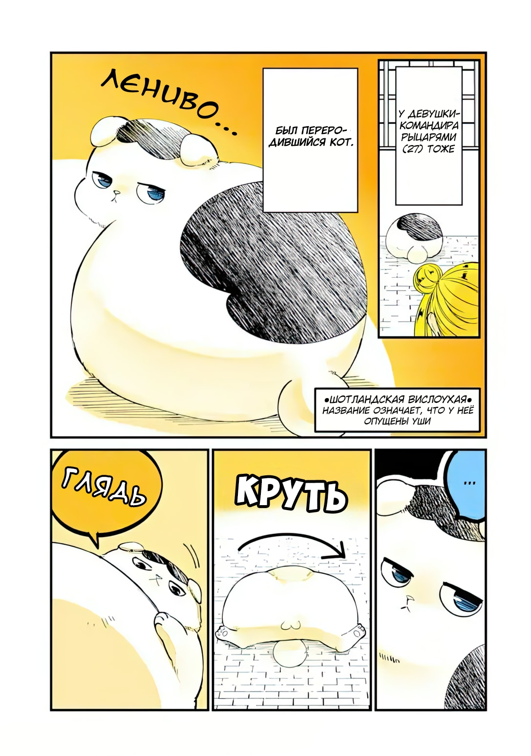 История о кошке, реинкарнировавшей в другом мире, где нет кошек — Глава 14: В последнем бою герой…!!, страница 3