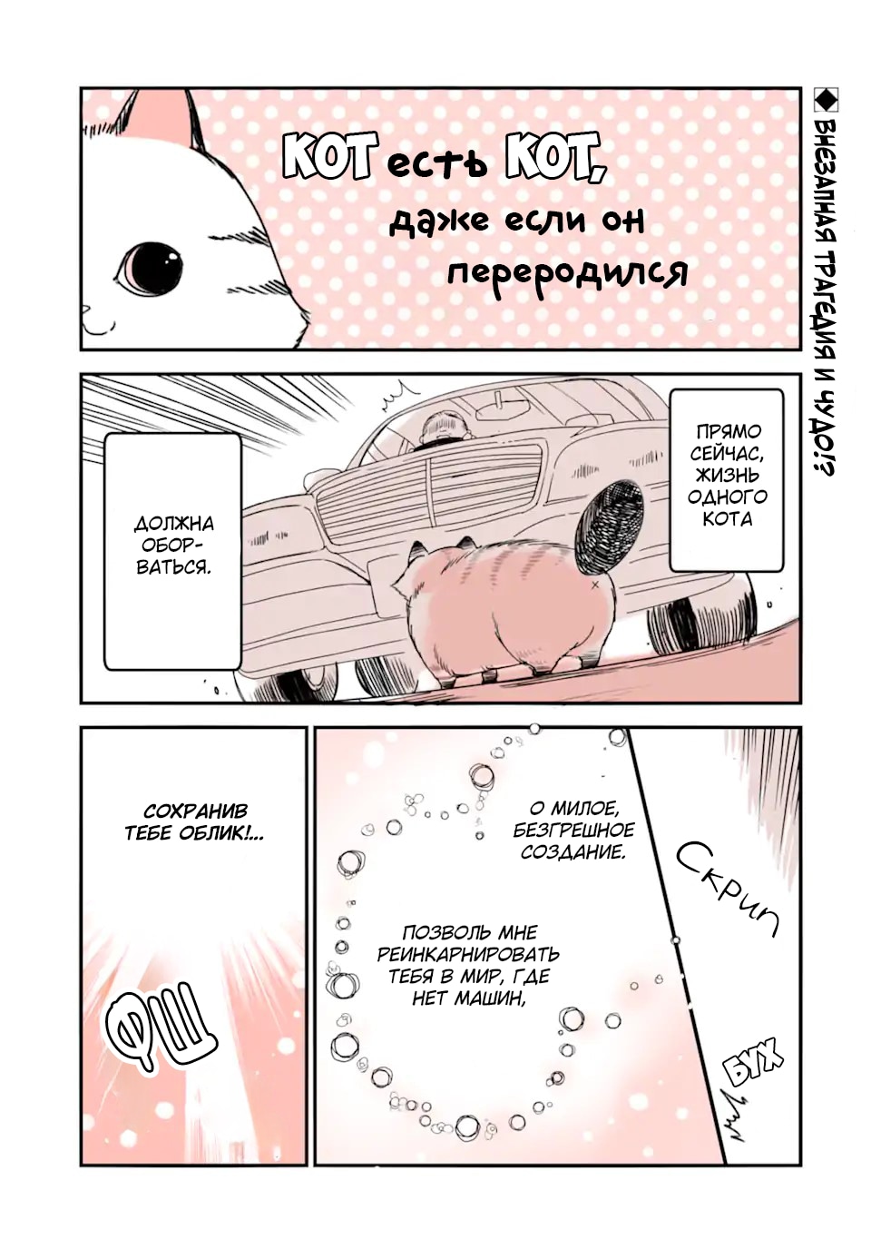 История о кошке, реинкарнировавшей в другом мире, где нет кошек — Глава 1: Внезапная трагедия и чудо!?, страница 2