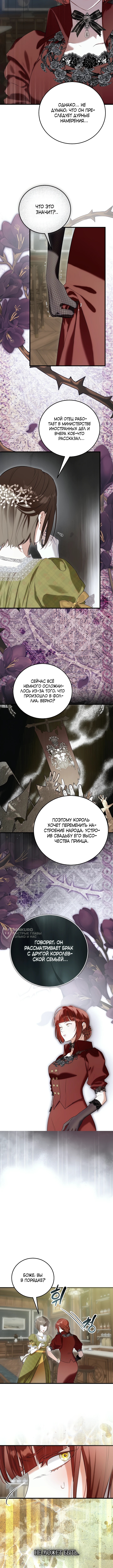 О жестокости спасения — Глава 24, страница 2
