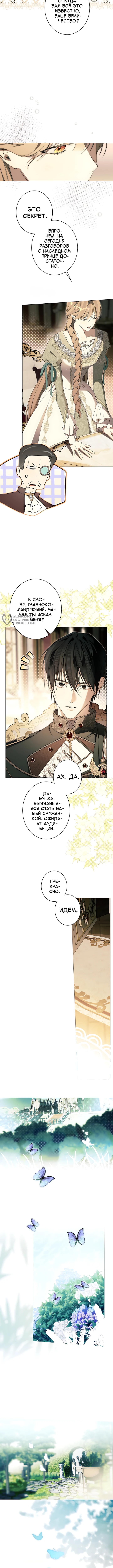 Заря, что свернёт твою шею — Глава 47, страница 3