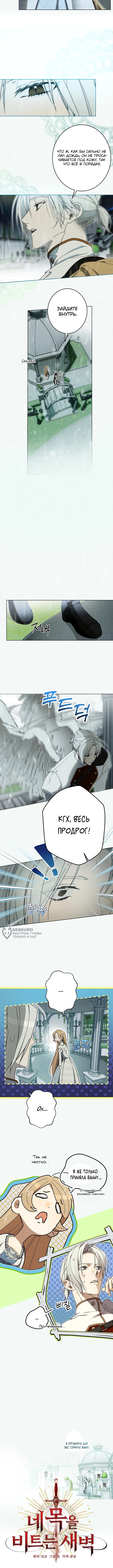 Заря, что свернёт твою шею — Глава 27, страница 2