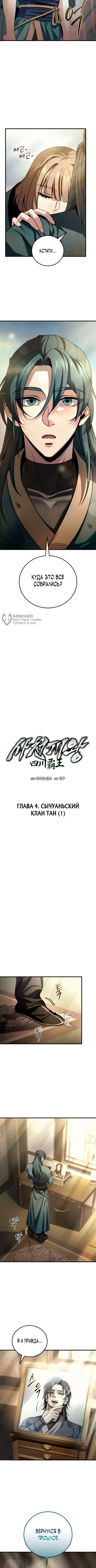 Абсолютный Владыка из Сычуаньского клана Тан — Глава 4, страница 3