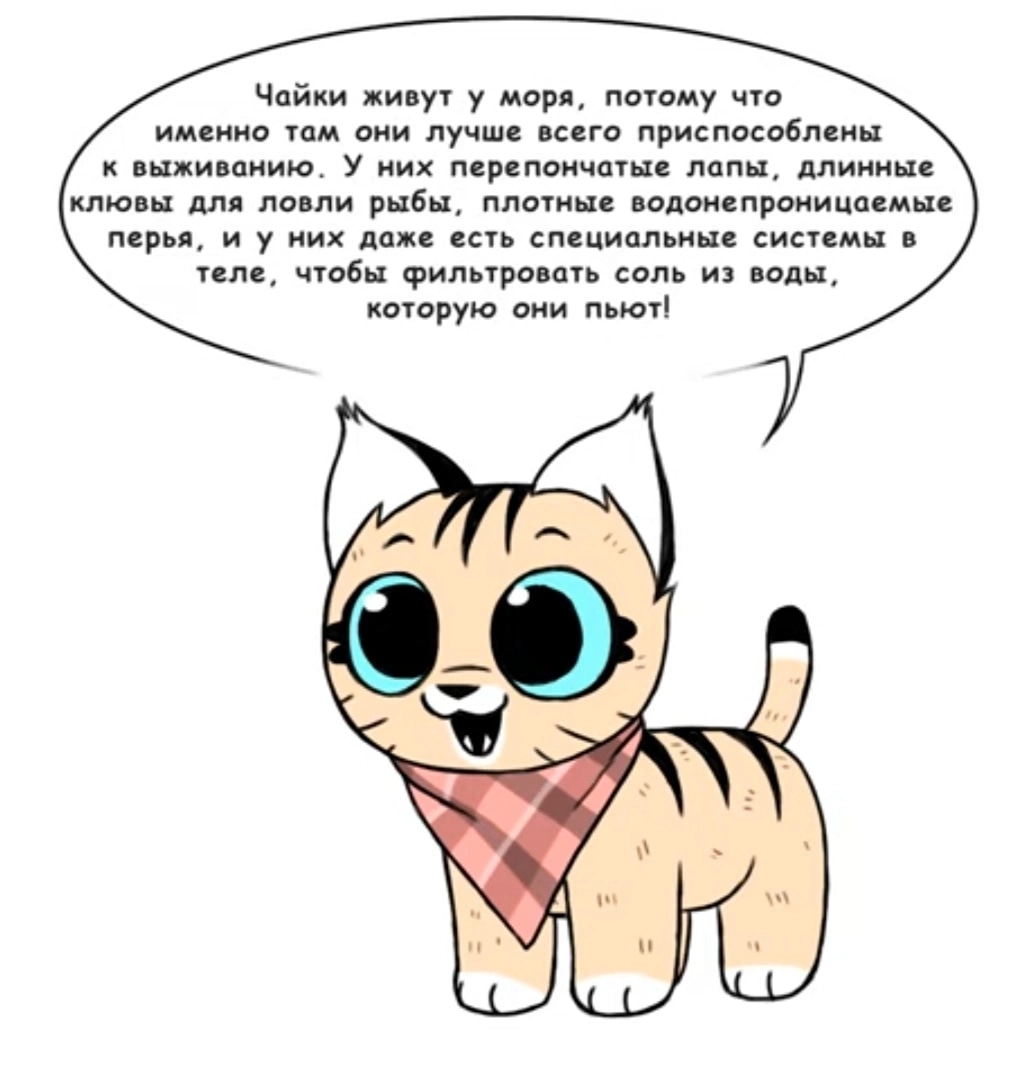 Брут и Пикси — Глава 141: Чайка, страница 3
