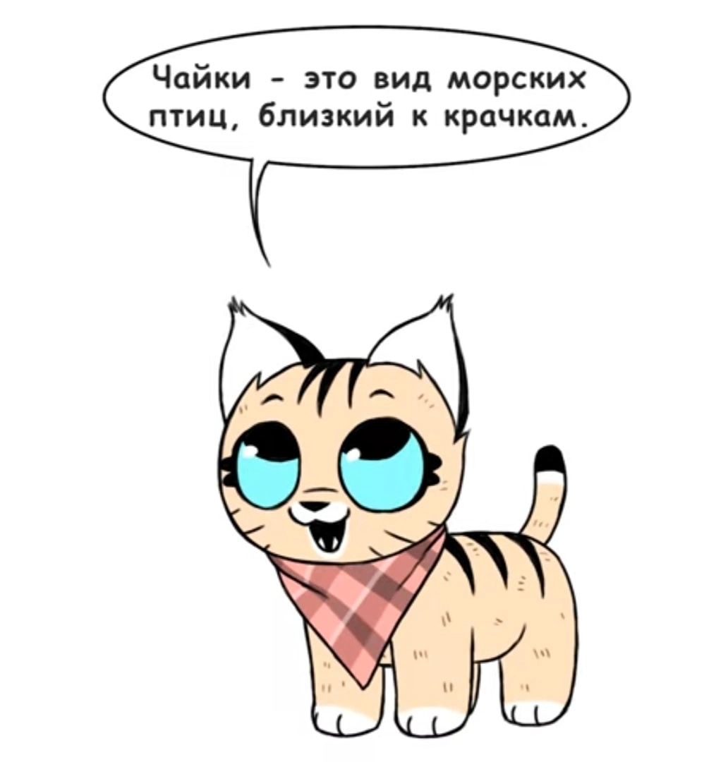 Брут и Пикси — Глава 141: Чайка, страница 2