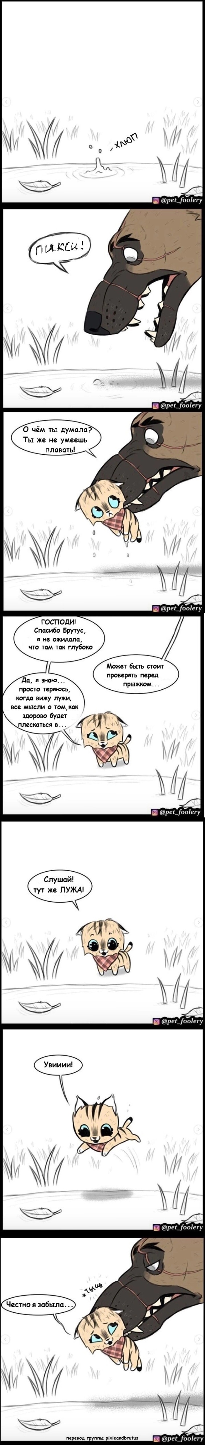 Брут и Пикси — Глава 21, страница 2