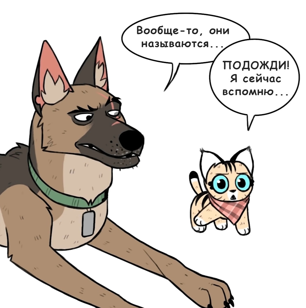Брут и Пикси — Глава 134: Созвездие, страница 3