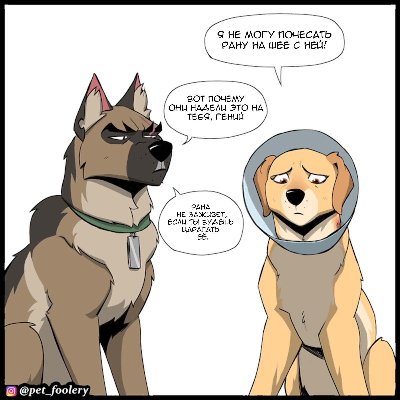 Брут и Пикси — Глава 277: Конус, страница 2