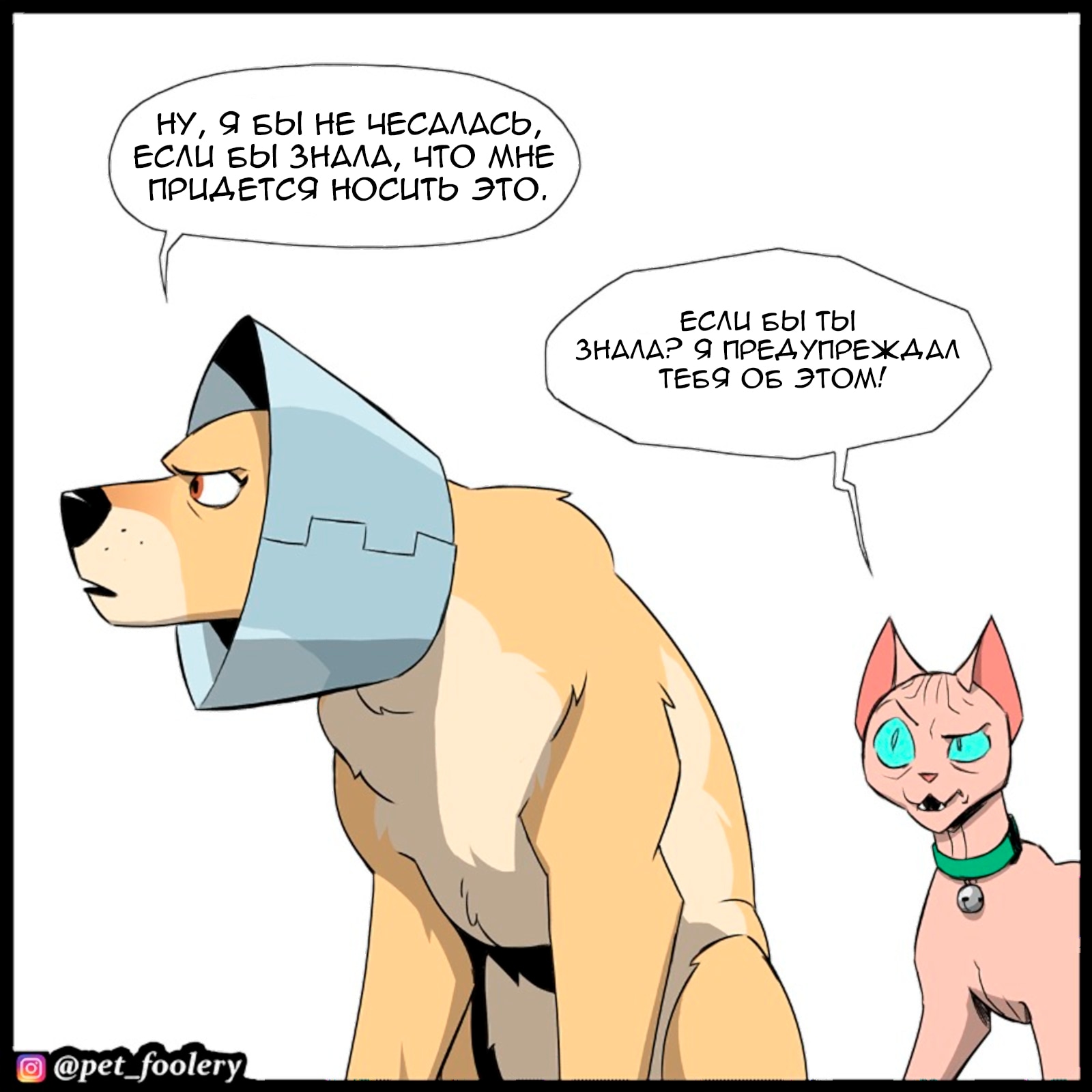 Брут и Пикси — Глава 277: Конус, страница 3