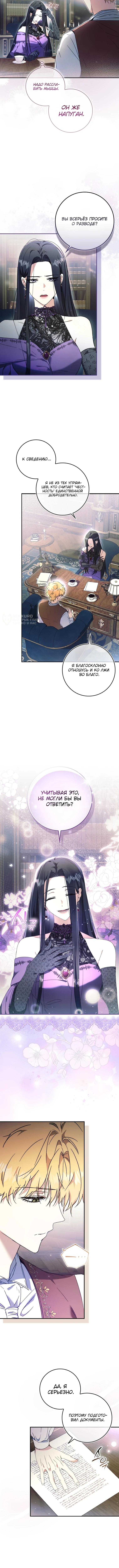 Мой муж — мой любимый персонаж, но, кажется, меня ждет развод — Глава 1, страница 3
