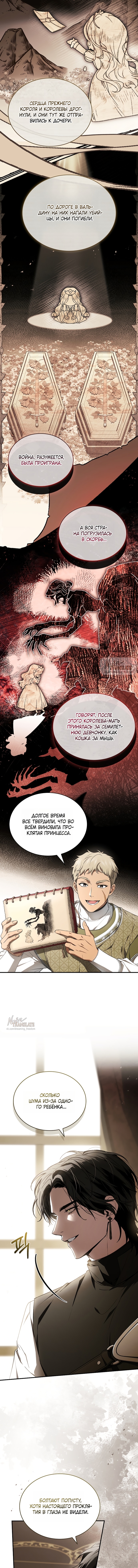 Я лишу тебя короны — Глава 4, страница 2