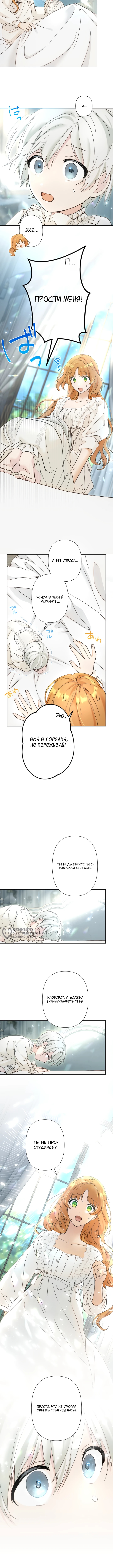 Мы стали семьей с четырьмя братьями-герцогами — Глава 7, страница 2