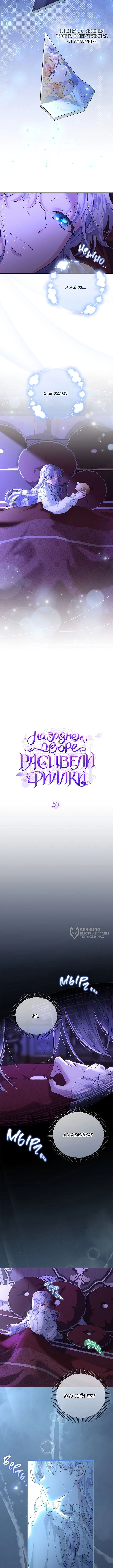 На заднем дворе расцвели фиалки — Глава 57, страница 2