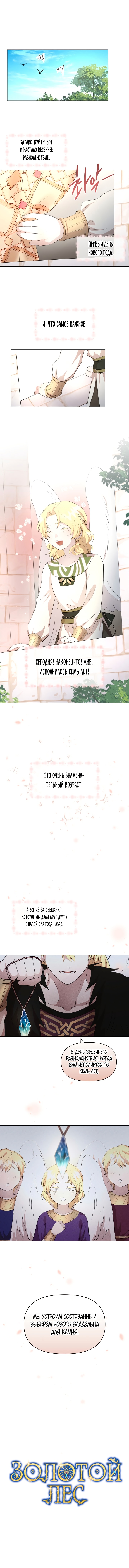 Золотой лес — Глава 96, страница 2