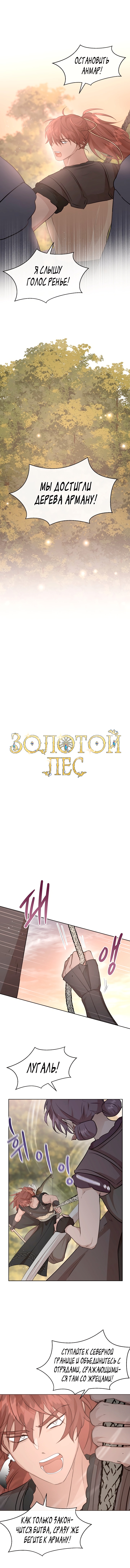 Золотой лес — Глава 86, страница 2