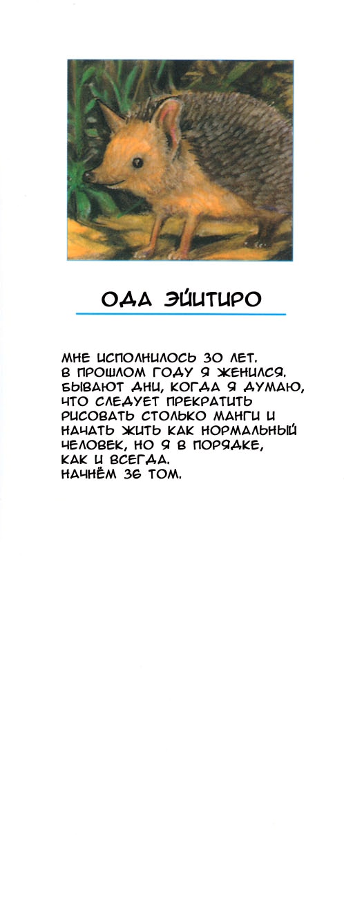 Ван-Пис — Глава 337: Защитники города воды, страница 2