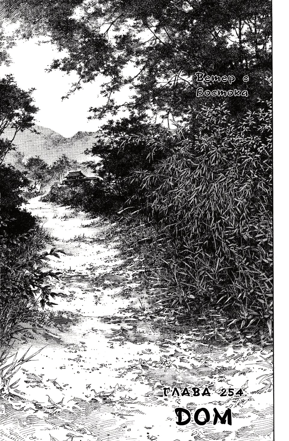 Бродяга — Глава 254: Дом, страница 3