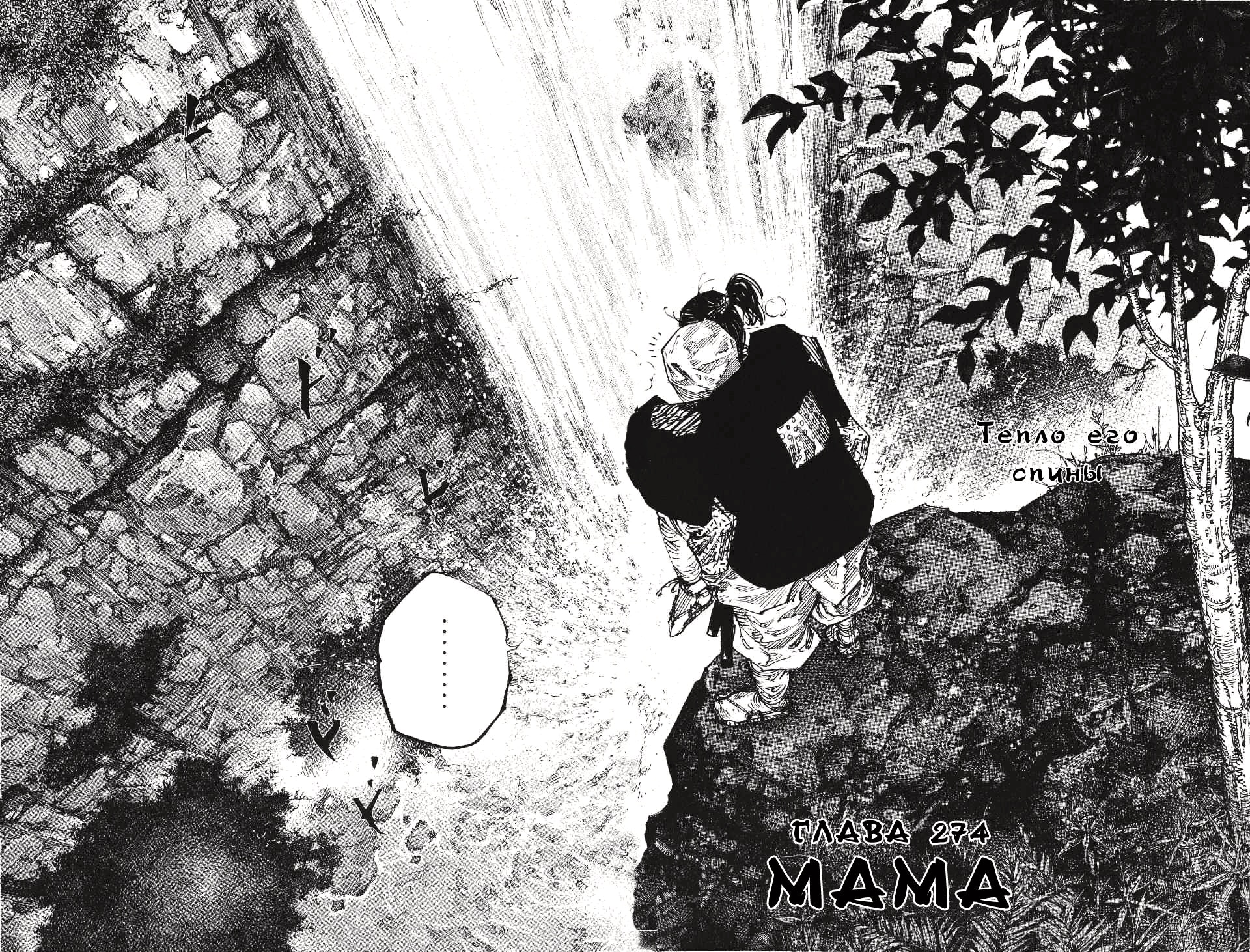 Бродяга — Глава 274: Мама, страница 2