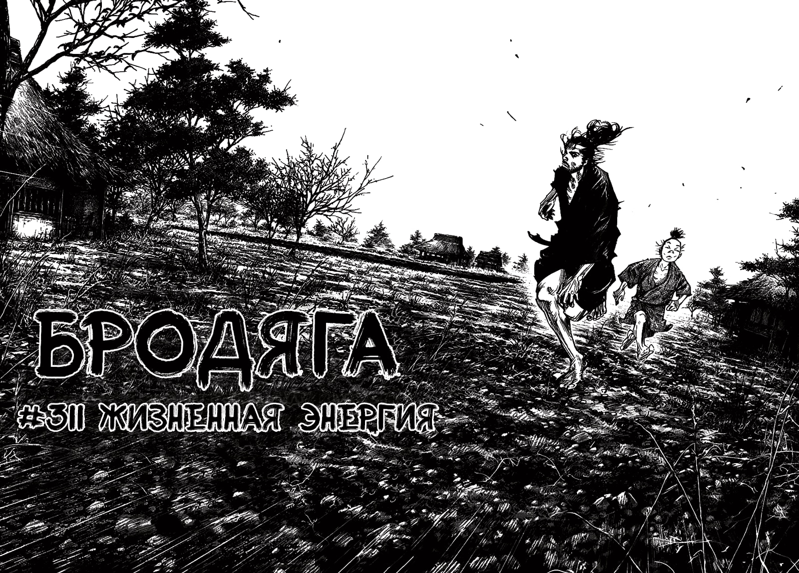 Бродяга — Глава 311: Жизненная Энергия, страница 2