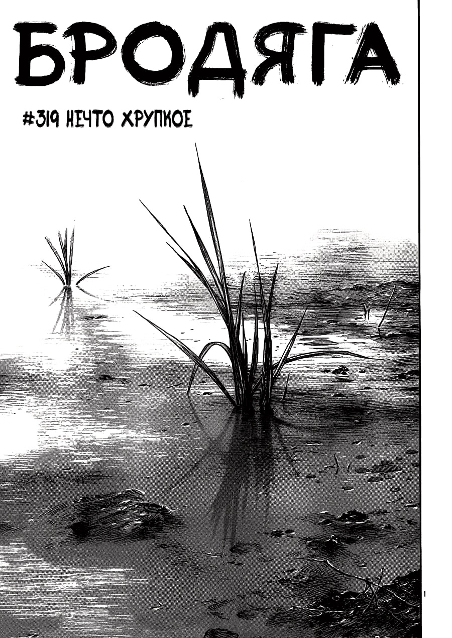 Бродяга — Глава 319: Нечто хрупкое, страница 2