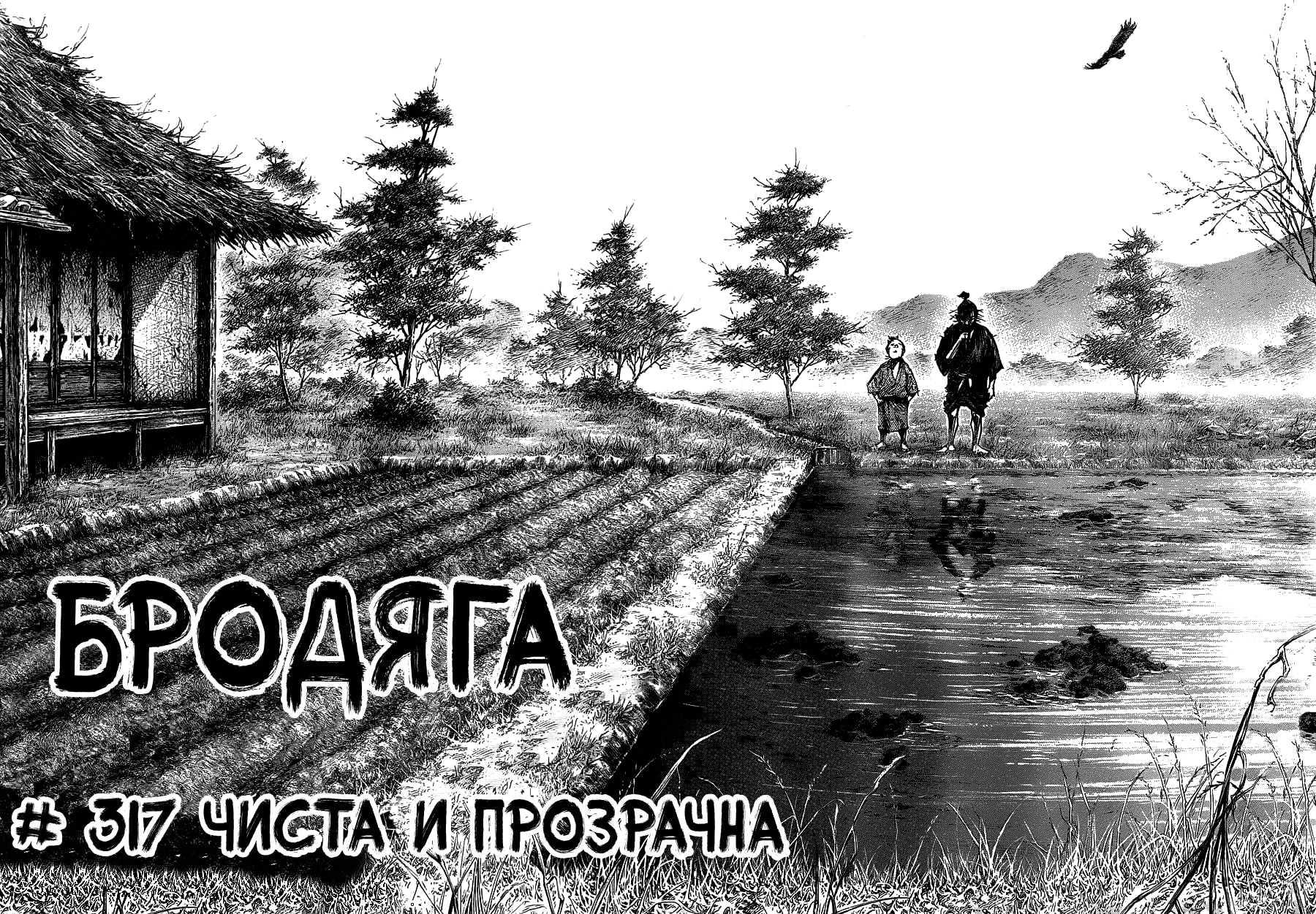 Бродяга — Глава 317: Чиста и Прозрачна, страница 2