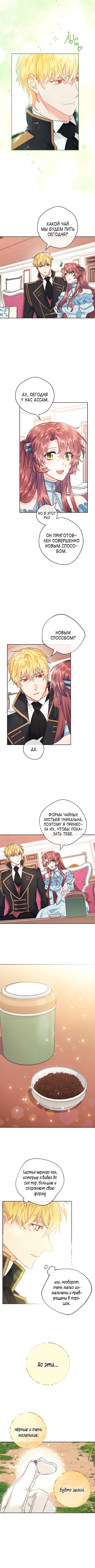 Пятьдесят рецептов чая от герцогини — Глава 118, страница 2