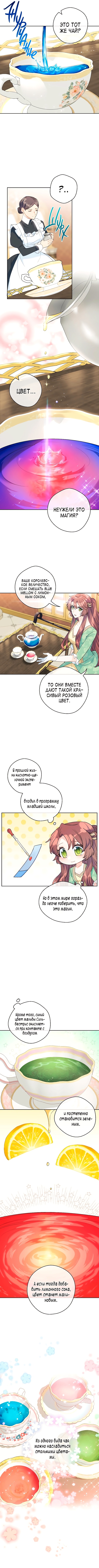 Пятьдесят рецептов чая от герцогини — Глава 108, страница 3