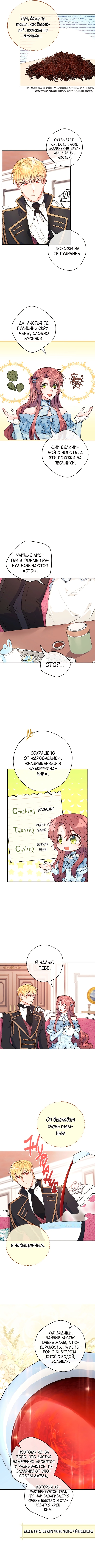 Пятьдесят рецептов чая от герцогини — Глава 118, страница 3